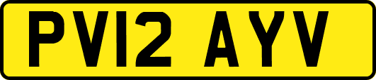 PV12AYV