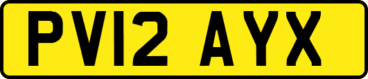 PV12AYX