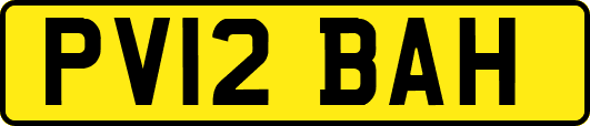 PV12BAH