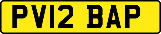 PV12BAP
