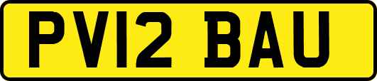 PV12BAU