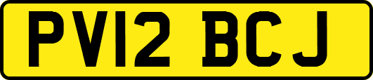 PV12BCJ