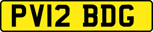 PV12BDG