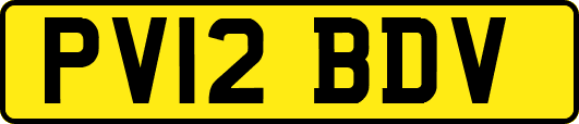 PV12BDV