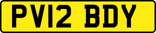 PV12BDY