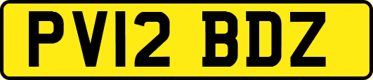 PV12BDZ