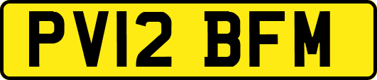 PV12BFM