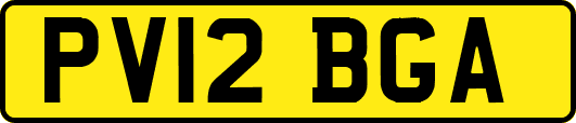 PV12BGA
