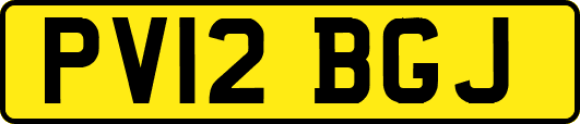 PV12BGJ