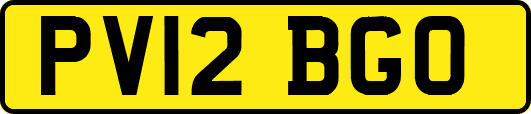PV12BGO