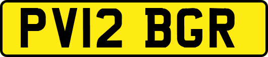 PV12BGR