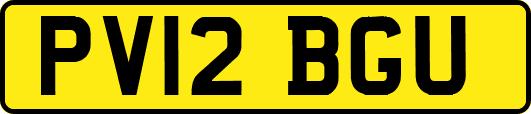 PV12BGU