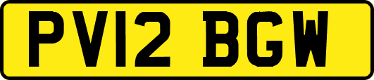 PV12BGW