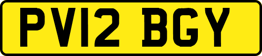 PV12BGY