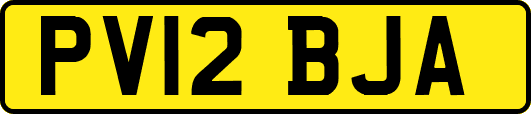 PV12BJA