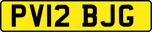 PV12BJG