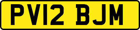 PV12BJM