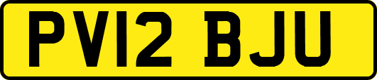 PV12BJU