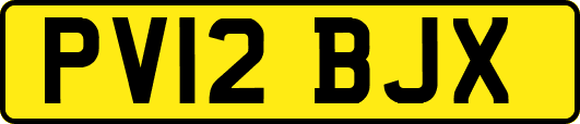 PV12BJX