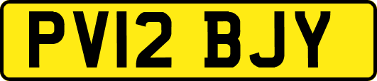 PV12BJY