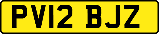 PV12BJZ