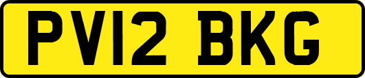 PV12BKG