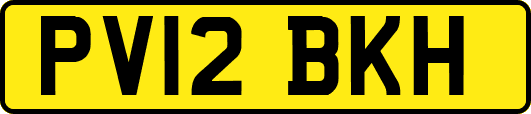 PV12BKH
