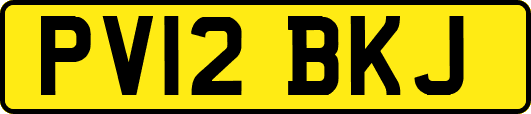 PV12BKJ