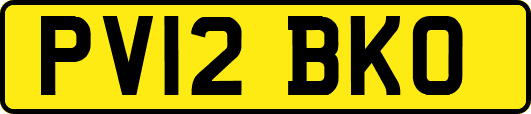 PV12BKO