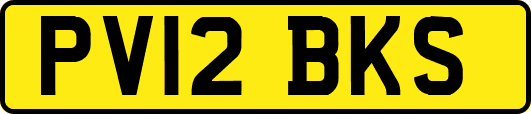 PV12BKS