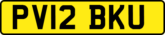 PV12BKU