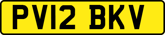 PV12BKV