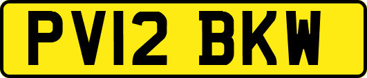 PV12BKW