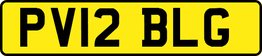PV12BLG