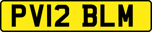 PV12BLM