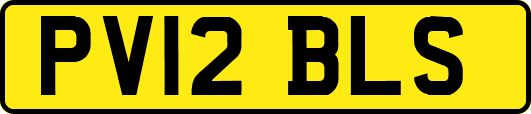 PV12BLS