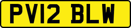 PV12BLW