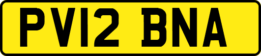 PV12BNA