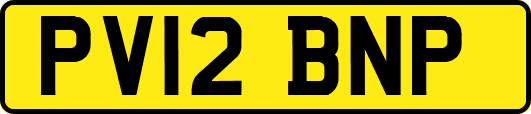 PV12BNP