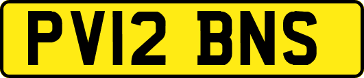 PV12BNS