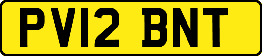 PV12BNT