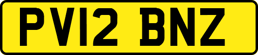 PV12BNZ