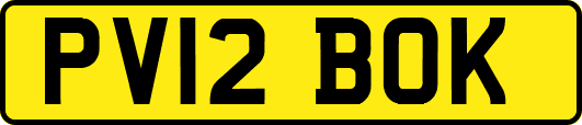 PV12BOK
