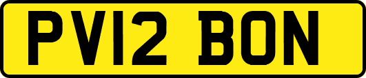 PV12BON