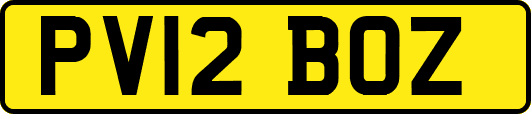 PV12BOZ