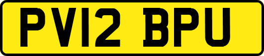PV12BPU