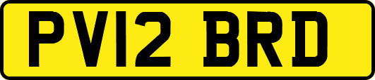 PV12BRD