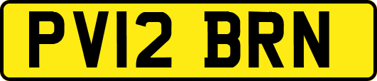 PV12BRN