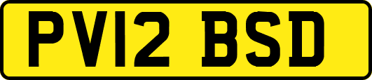 PV12BSD