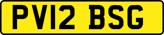 PV12BSG